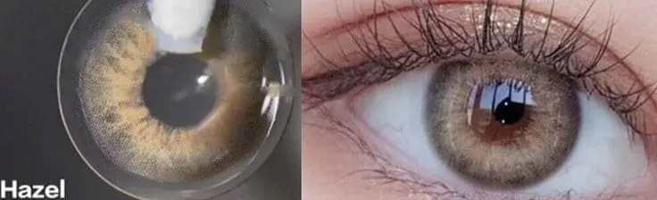 Hazel contact lens