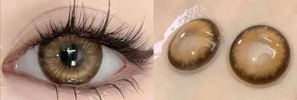 Cocoa Brown contact lens