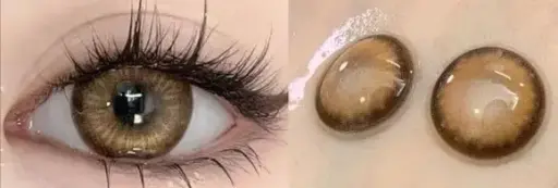 Cocoa Brown contact lens